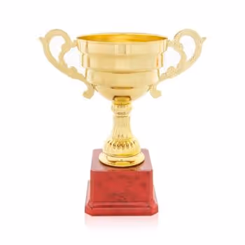 World/Continent Tournaments