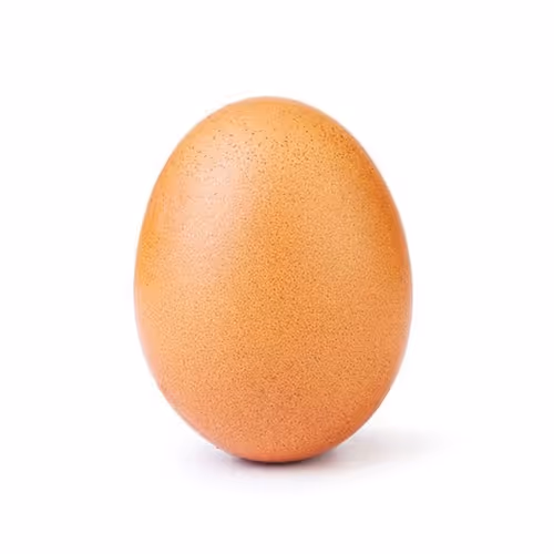 World Record Egg Official NFT