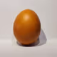 World's most expensive egg.