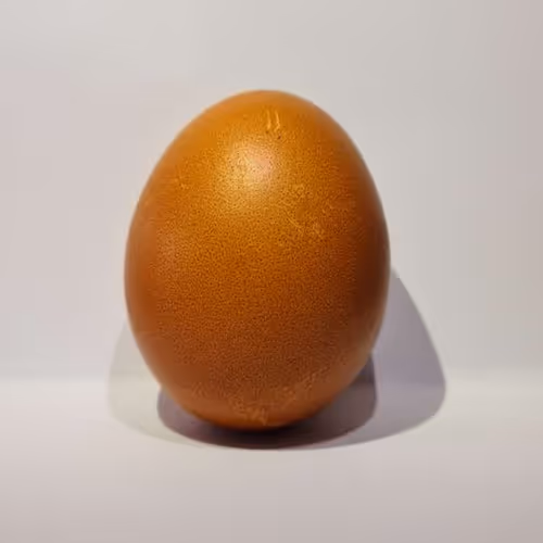 World's most expensive egg.