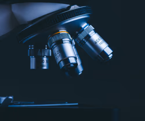 World under microscope