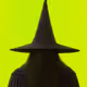 WORLD WISE WIZARDSS