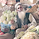 Worldly Traveler