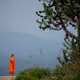 Peaceful moments in nature - old