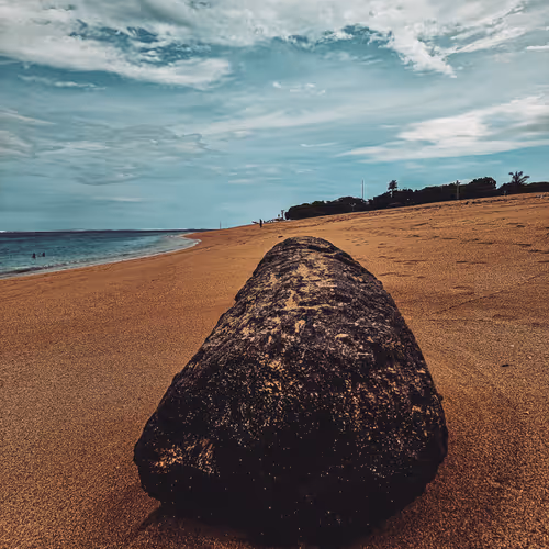 World WIthout Strangers