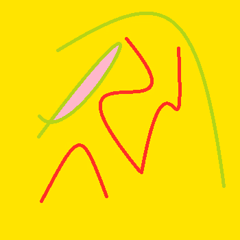 wtf in my head