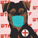 WTF Pup?!