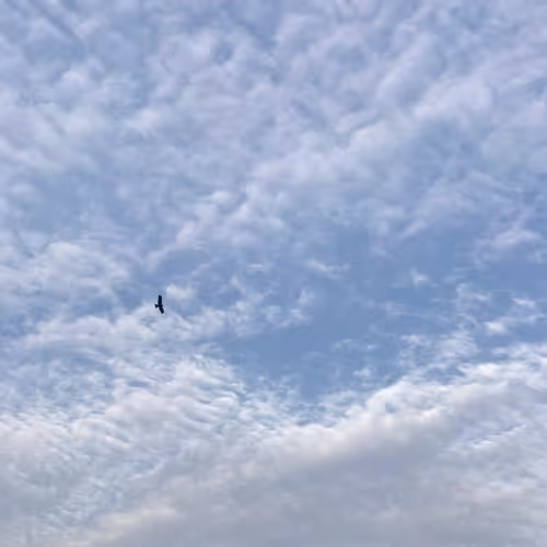 morning sky #48255681