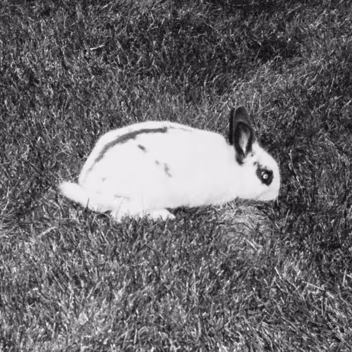 Wandering Through Life Backwards - old