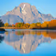 Wyoming Fall Colors - old