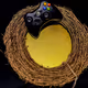 Xbox Controller retired