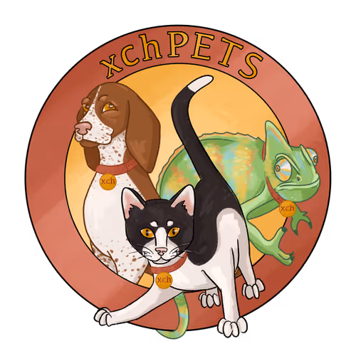 xchPETS Hatching Egg Collection