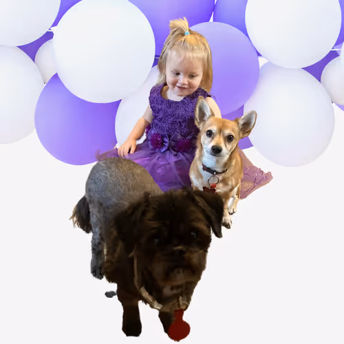 Xenia Rose - Animals