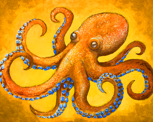 Ximan the Octopus