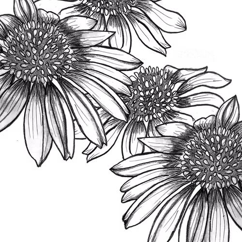 xoclate-doodling