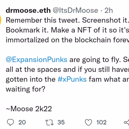 Xpunks drmoose.eth tweet