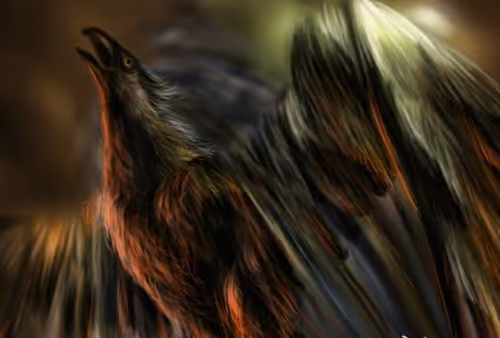 The Bird's diary