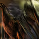 The Bird's diary