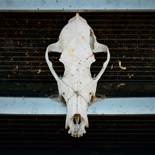 G.S. Broz - Yankee Enduro (2020) - old