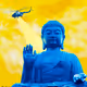Yellow and Blue