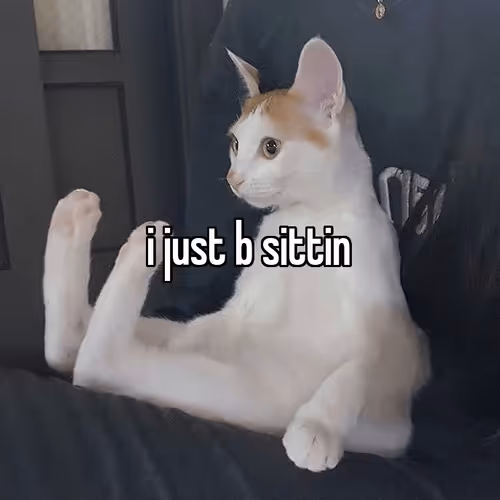 yes cats