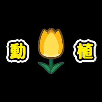 YellowKing" Zoological and Botanical Garden "4u