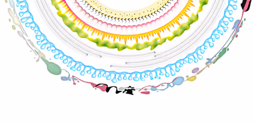 Yokayoi Japanese Art Collection