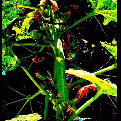 you tell me whats happening here