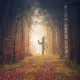 You are not alone in the Dark Forest
