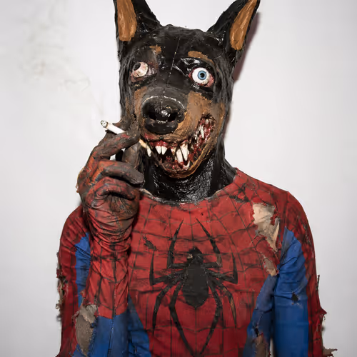 Your Friendly Neighborhood Dober-Man