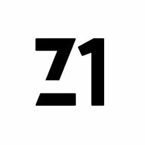 Z1NKXauctions - old
