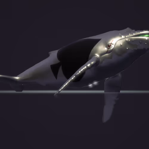 MagicalWhales