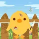 Zen Chicks by Pinto