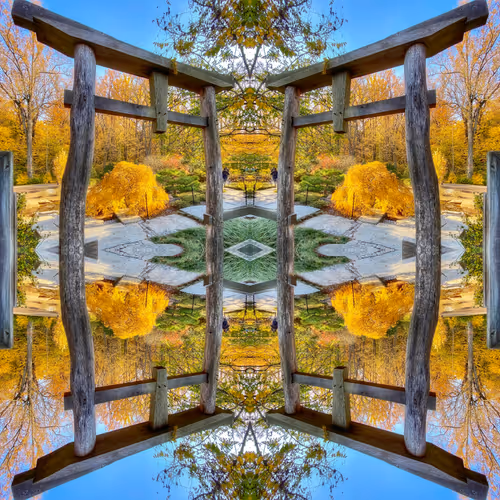 Zen Reflections