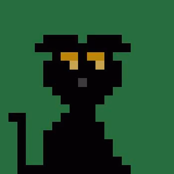 Zeytin The Cat