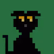 Zeytin The Cat