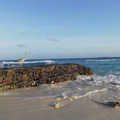 Unforgettable Maldives - old