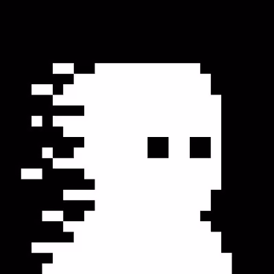 zkSNARKs