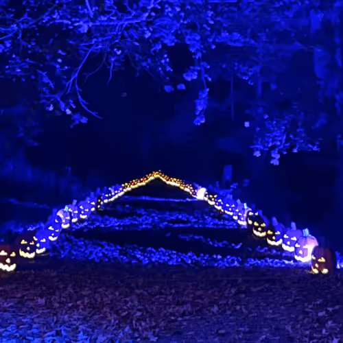 zodiac wars - LIBRA(BALANCE) september 23 october 23