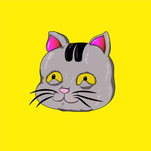 ZOO cat