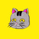 ZOO cat