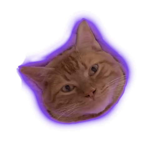 Wonder Cats