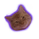 Wonder Cats