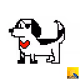 ZorroTheDog - old