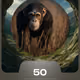 205