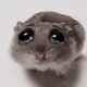 ZWAKER