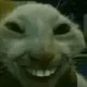 zxczxczc