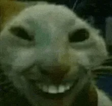 zxczxczc