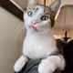 ZZNFT
