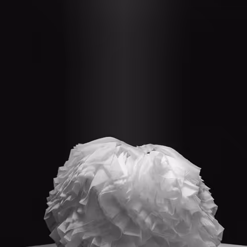 ZZZPho The Beginning